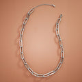Chunky Paperclip Chain Silver Waterproof Stainless Steel Necklace